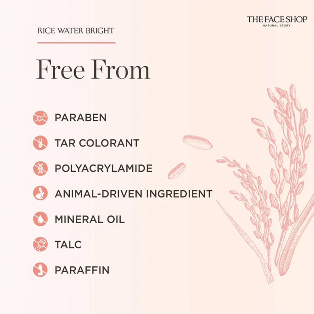 THE FACE SHOP RICE WATER BRIGH – обзор и цена Luxury Skincare Shop